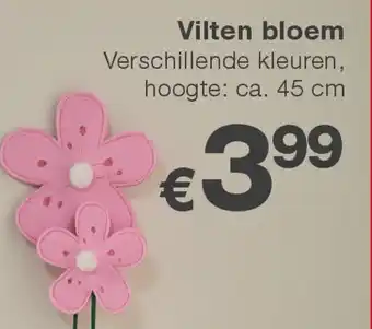 Kik Vilten bloem aanbieding