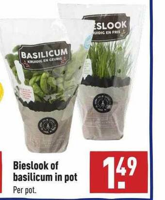 ALDI Bieslook Of Basilicum In Pot aanbieding
