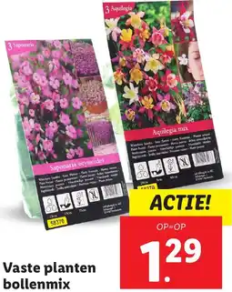 Lidl Vaste planten bollenmix aanbieding