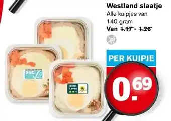 Hoogvliet Westland slaatje aanbieding