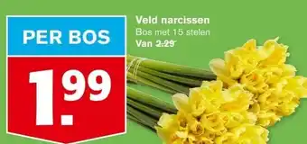 Hoogvliet Veld narcissen aanbieding