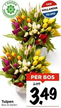 Vomar Voordeelmarkt Tulpen Bos 8 stelen aanbieding