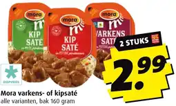 Boni Mora varkens of kipsaté aanbieding