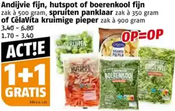 Poiesz Andijvie fijn, hutspot of boerenkool fijn,  spruiten panklaar of Cêlavíta kruimige pieper aanbieding