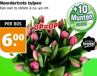 Poiesz Noordertrots tulpen aanbieding