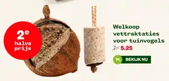 Welkoop Welkoop vettraktaties voor tuinvogels aanbieding