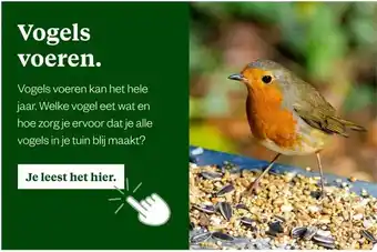 Welkoop Vogels voeren. aanbieding