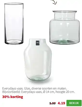 Intratuin Everydays vaas. aanbieding