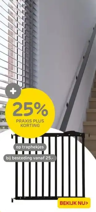 Praxis Op traphekjes aanbieding