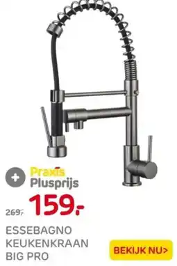 Praxis Essebagno keukenkraan big pro aanbieding