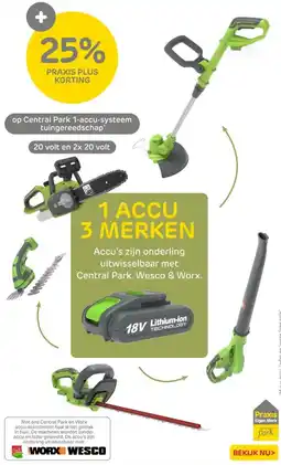 Praxis Op Central Park 1-accu-systeem tuingereedschap aanbieding