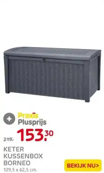 Praxis Keter kussenbox borneo aanbieding