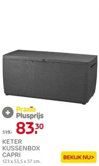 Praxis Keter kussenbox capri aanbieding