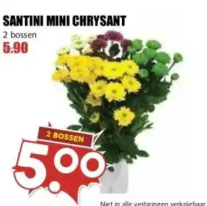 MCD Supermarkt SANTINI MINI CHRYSANT aanbieding