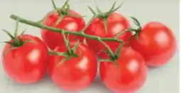 Ekoplaza CHERRY TROS TOMATEN aanbieding