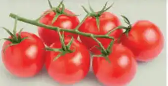 Ekoplaza CHERRY TROS TOMATEN aanbieding