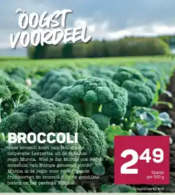 Ekoplaza BROCCOLI aanbieding