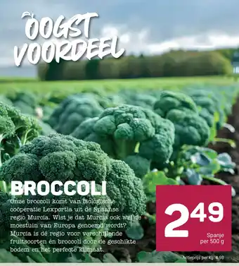 Ekoplaza BROCCOLI aanbieding