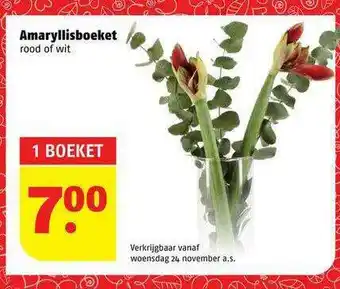 Poiesz Amaryllisboeket aanbieding