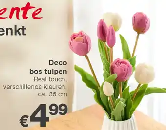 Kik Deco bos tulpen aanbieding