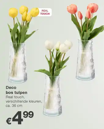 Kik Deco bos tulpen aanbieding