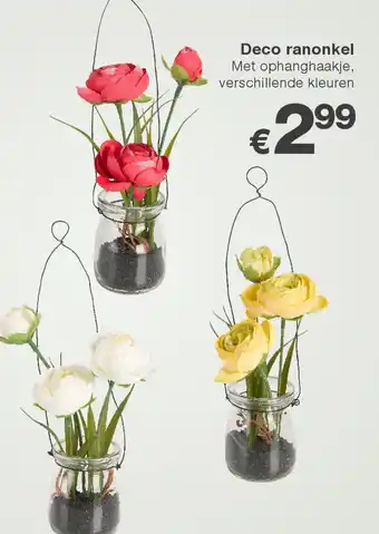 Kik Deco ranonkel aanbieding