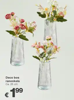 Kik Deco bos ranonkels aanbieding