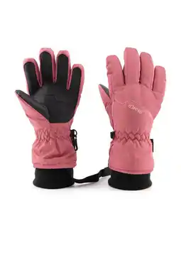 Wehkamp Sinner skihandschoenen Phoenix roze/zwart aanbieding