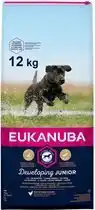 Welkoop Eukanuba Developing Junior Large Breed - Hondenvoer - Kip - 12 kg aanbieding