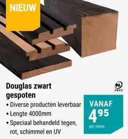 Pontmeyer Douglas zwart gespoten aanbieding