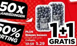 PLUS PLUS Blouwe bessen aanbieding