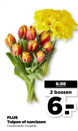 PLUS PLUS Tulpen of narcissen aanbieding