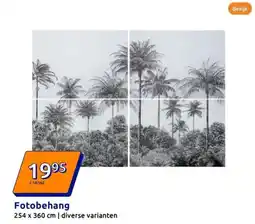 Action Fotobehang aanbieding