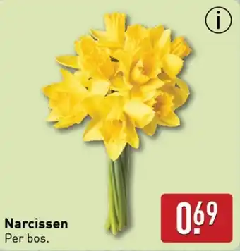 ALDI Narcissen aanbieding