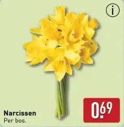 ALDI Narcissen aanbieding