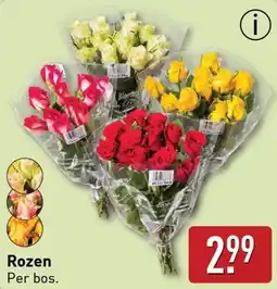 ALDI Rozen aanbieding