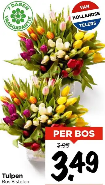 Vomar Voordeelmarkt Tulpen aanbieding