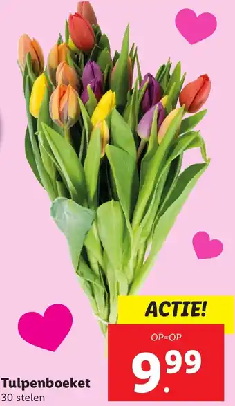 Lidl Tulpenboeket aanbieding