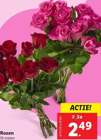 Lidl Rozen aanbieding