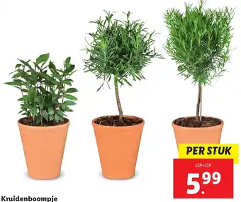 Lidl Kruidenboompje aanbieding