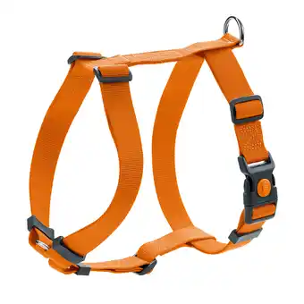 Zooplus HUNTER Set: Tuig London Vario Rapid M + riem London 200cm/15mm, oranje aanbieding