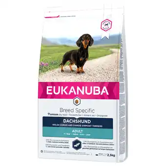 Zooplus 10% Korting! Eukanuba Adult Breed Specific hondenvoer - 2,5 kg Adult Teckel aanbieding