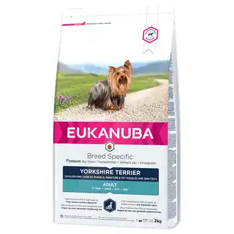 Zooplus 10% Korting! Eukanuba Adult Breed Specific hondenvoer - 2 kg Adult Yorkshire Terrier aanbieding