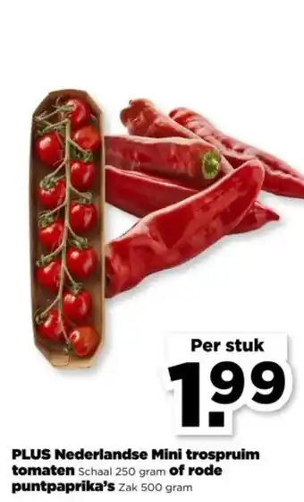 PLUS PLUS Nederlandse Mini trospruim tomaten of rode puntpaprika's aanbieding