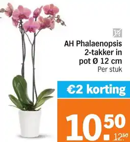 Albert Heijn AH Phalaenopsis 2-takker in pot aanbieding