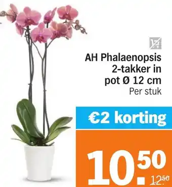 Albert Heijn AH Phalaenopsis 2-takker in pot aanbieding