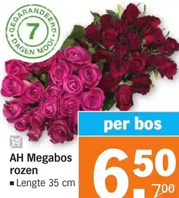 Albert Heijn AH Megabos rozen aanbieding