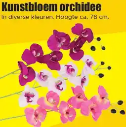 Dirk Kunstbloem orchidee aanbieding