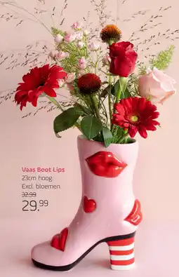 Coppelmans Vaas Boot Lips aanbieding