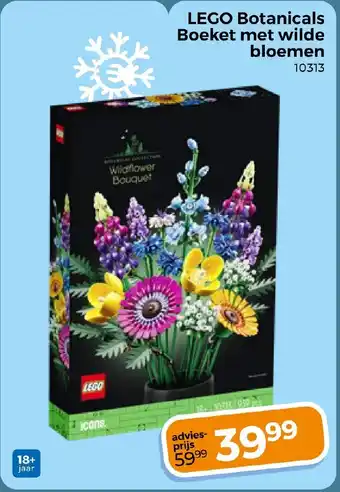 Trekpleister LEGO Botanicals Boeket met wilde bloemen aanbieding